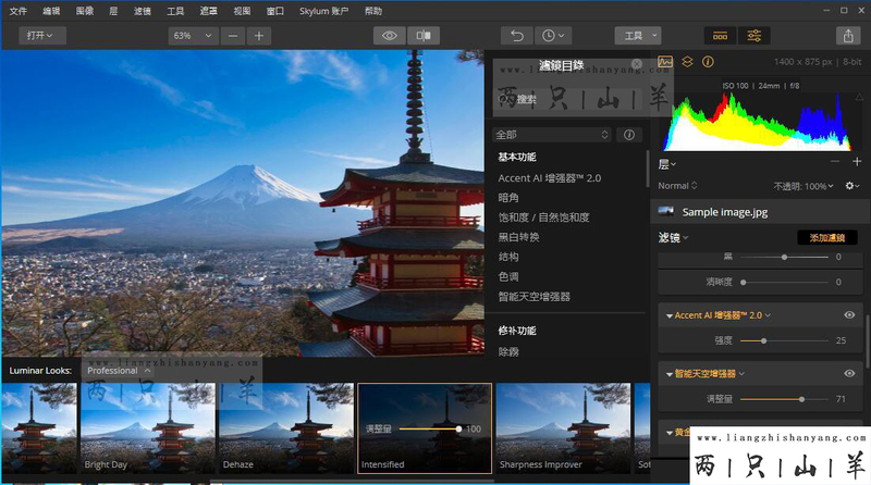 Ai智能全功能图像调色插件luminar Flex中文版 Ps Lr插件 洛可可素材网 Powered By Discuz