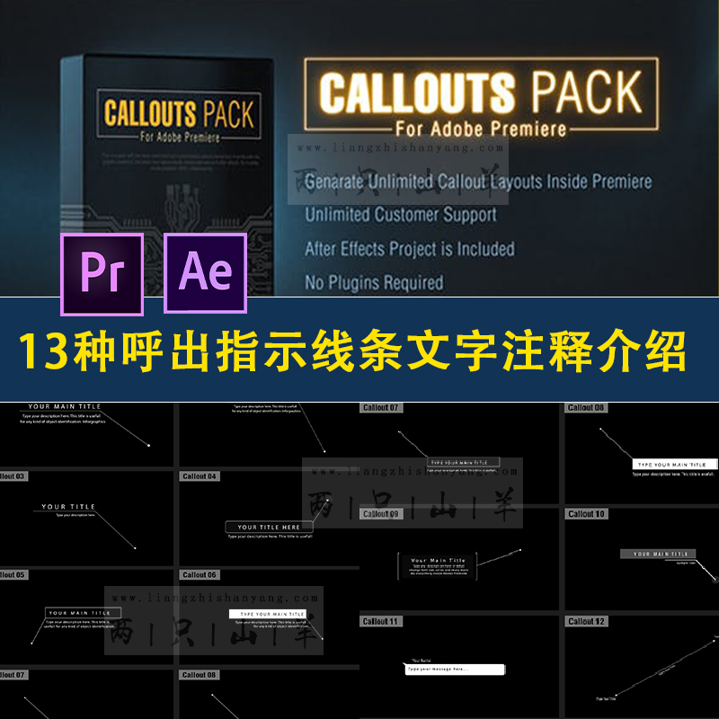 【PR预设+AE模板】13种呼出指示线条文字标题注释介绍动画 Callout Line Pack For Premiere
